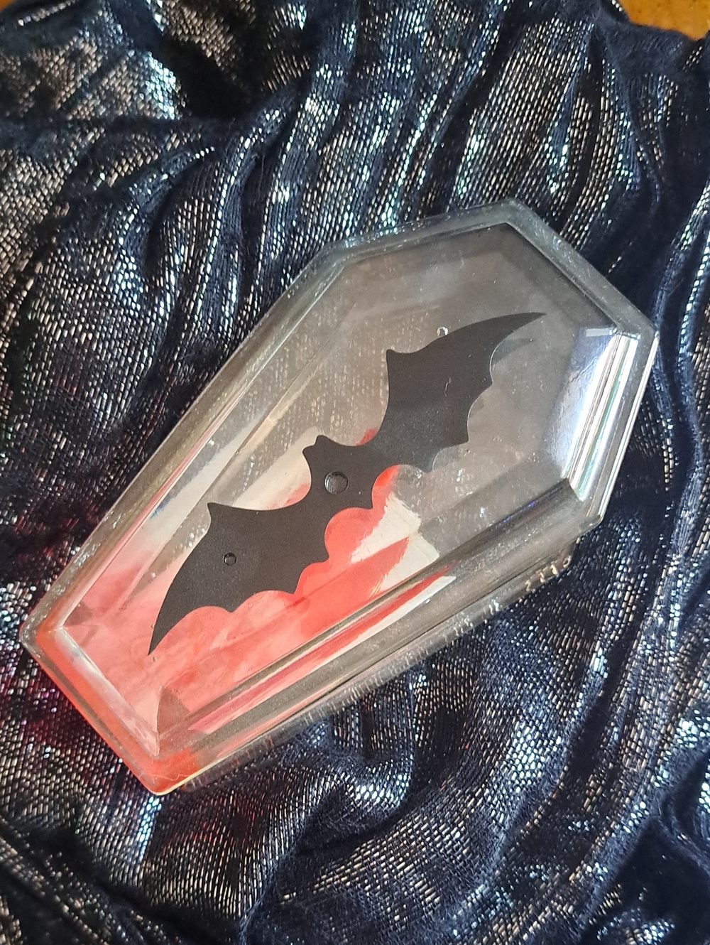 Handmade Bat Coffin Box
